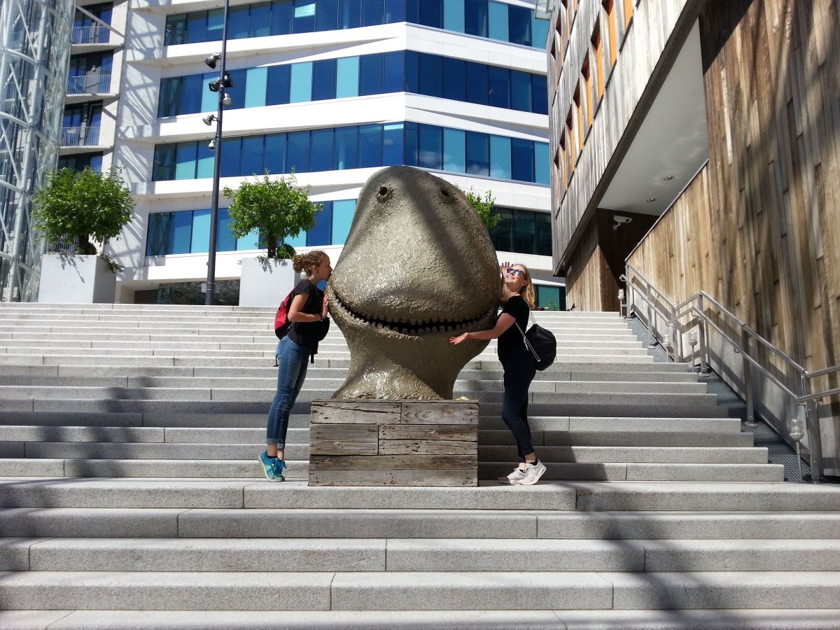 Wildcampen in der&nbsp;Hauptstadt