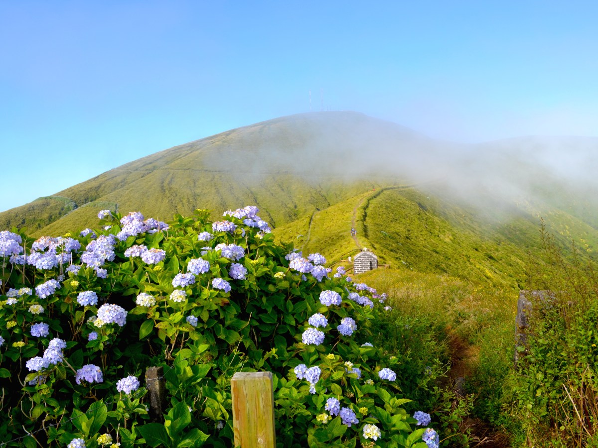 Mein Guide für Faial – Die blaue Insel der&nbsp;Azoren